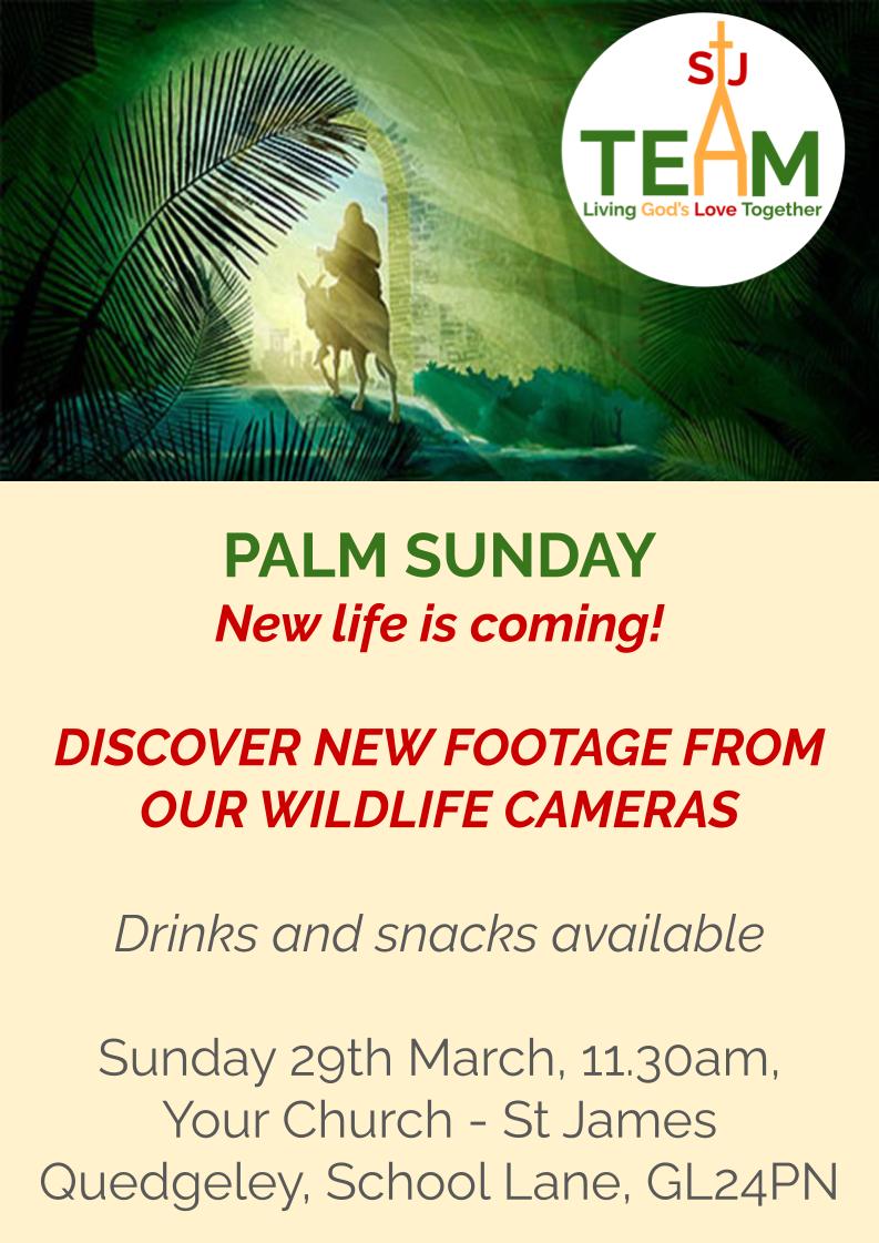 Team STJs Palm Sunday